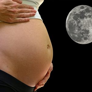 Taller Prenatal 9 Lunas